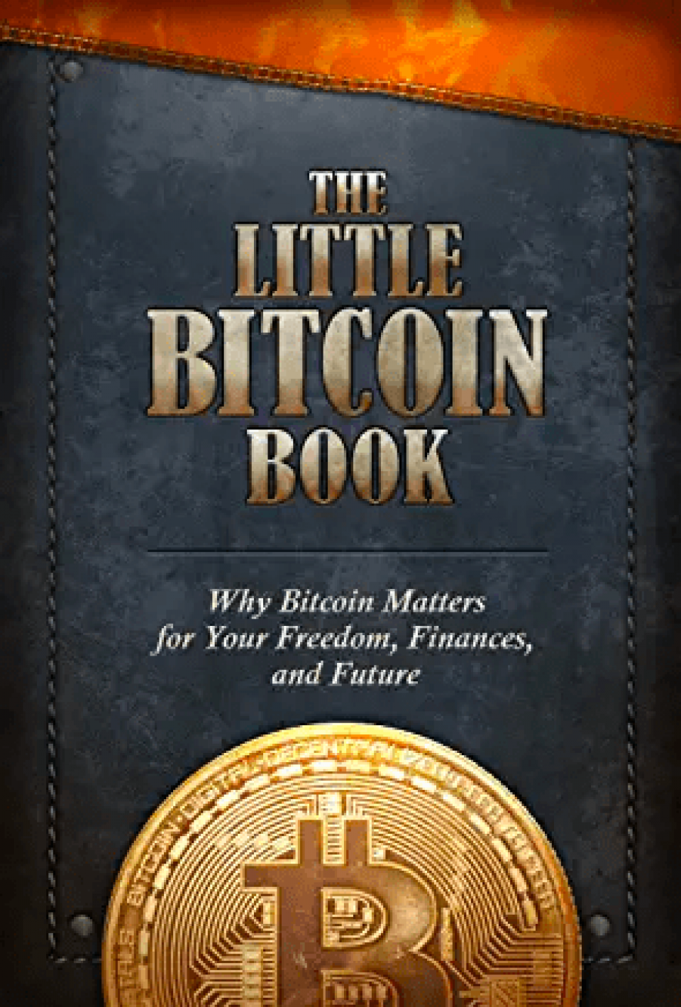 The Little Bitcoin Book